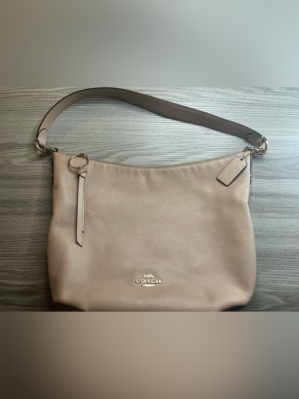 Coach Skylar Hobo Bag
